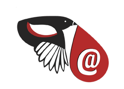 EmailMagpie