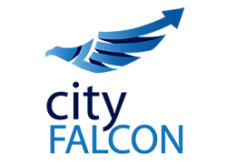 CityFalcon